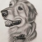 20210829_081807 (2)-zs