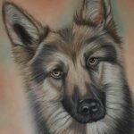 20210912_115306 (2)-zs