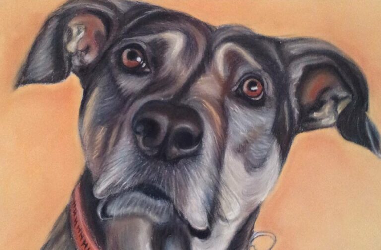 Fotorealistische Pastell- und Ölmalerei